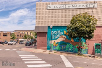 Marquette-Sails-History-Beer-2022-79