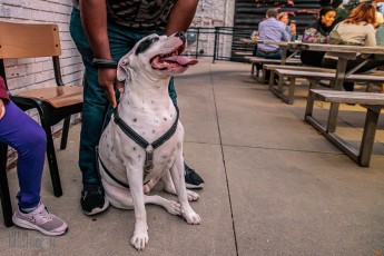 BatchBrewing-MiGente-X-ChelaFamiliar-2023-6