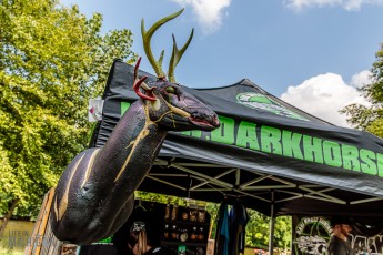 Michigan-Brewers-Guild-Summer-Beer-Fest-2019-8