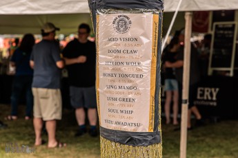 Summer-Beer-Fest-2022-314