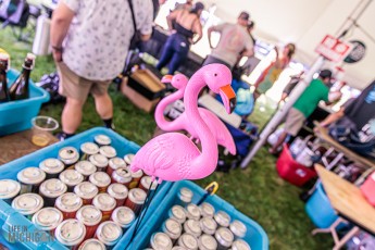 Summer-Beer-Fest-2024-Day1-40