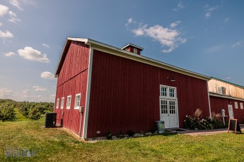 Michigan-Hard-Cider-Tour-2023-12