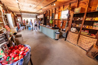 Michigan-Hard-Cider-Tour-2023-4