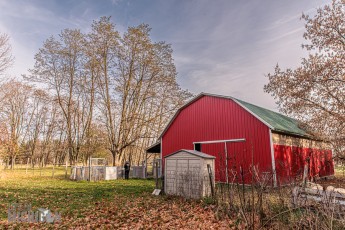 Michigan-Merinos-2023-1