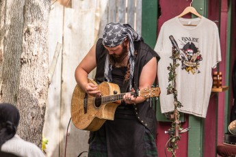 Michigan Renaissance Festival! 2015