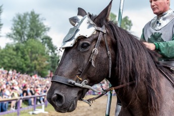 Michigan Renaissance Festival! 2015