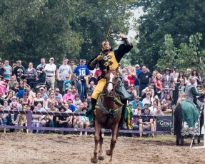 Michigan Renaissance Festival! 2015