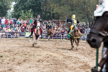 Michigan Renaissance Festival! 2015