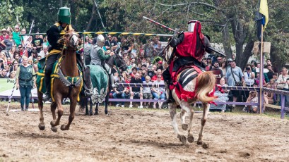 Michigan Renaissance Festival! 2015