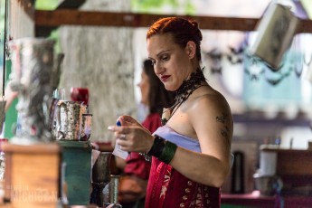 Michigan Renaissance Festival! 2015