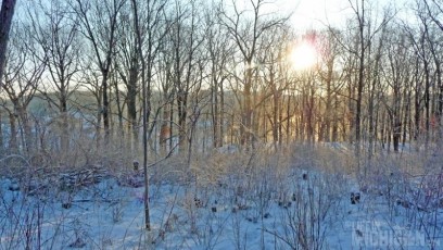 Morning light on a cold winter day at Leslie Park, Ann Arbor, MI