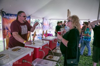 Michigan Brewers Summer Beer fest 2014