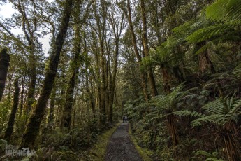 Milford-Sound-Overnight-Cruise-New-Zealand-20