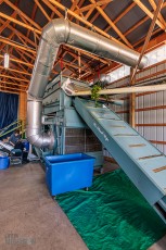 MrWizardHops-Harvest-2023-16