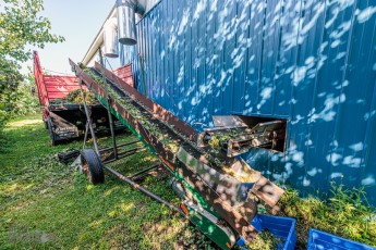 MrWizardHops-Harvest-2023-36