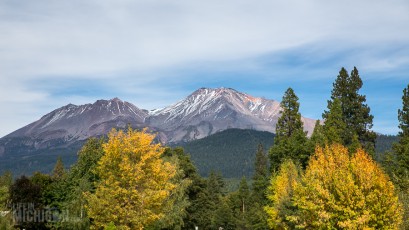 Mt. Shasta Brewing - Weed - California - 2014