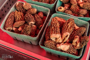 National Morel Mushroom Festival 2023