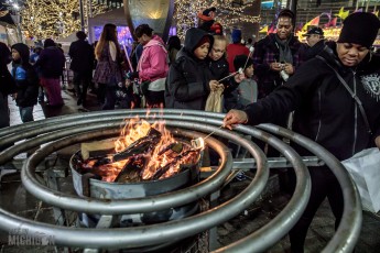 Nina and the Buffalo Riders @ Detroit Winter Blast - 21-Jan-2017