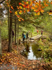 NorthernMichiganFallColors-Ishpeming-112