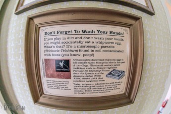 NorthernMichiganFallColors-Ishpeming-29