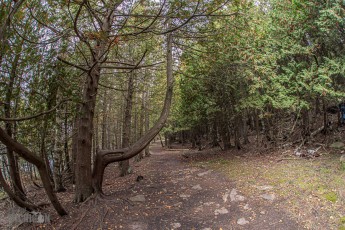 NorthernMichiganFallColors-Ishpeming-43