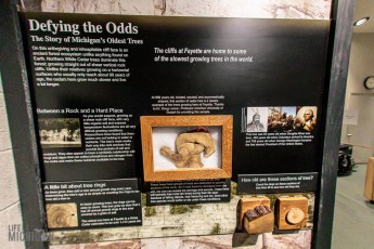 NorthernMichiganFallColors-Ishpeming-5