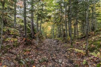 NorthernMichiganFallColors-Ishpeming-51