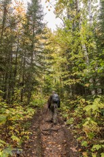NorthernMichiganFallColors-Ishpeming-53
