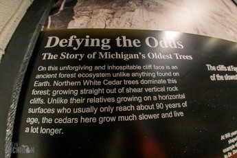 NorthernMichiganFallColors-Ishpeming-6