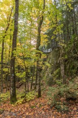 NorthernMichiganFallColors-Ishpeming-66