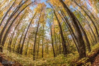 NorthernMichiganFallColors-Keweenaw-12
