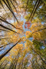 NorthernMichiganFallColors-Keweenaw-13