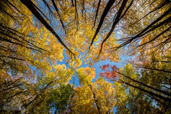 NorthernMichiganFallColors-Keweenaw-14