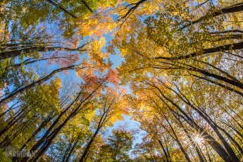 NorthernMichiganFallColors-Keweenaw-15