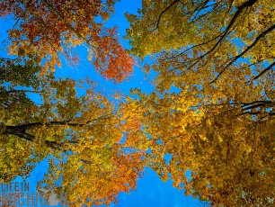 NorthernMichiganFallColors-Keweenaw-77