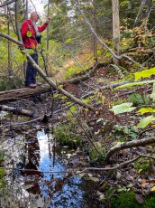 NorthernMichiganFallColors-Keweenaw-85