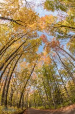 NorthernMichiganFallColors-Keweenaw-9