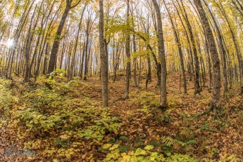 NorthernMichiganFallColors-Ontonagon-11