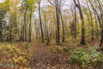 NorthernMichiganFallColors-Ontonagon-15