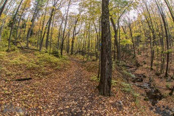 NorthernMichiganFallColors-Ontonagon-24