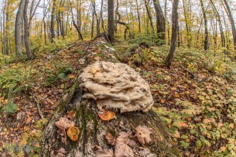 NorthernMichiganFallColors-Ontonagon-26