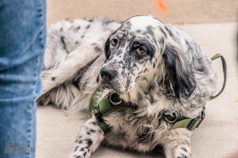 Ogma-4th-Anniversary-2025-58