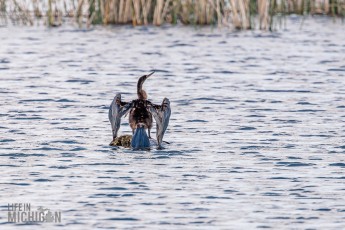 Orlando-Wetlands-Park-2023-16