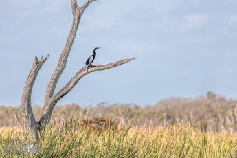Orlando-Wetlands-Park-2023-18