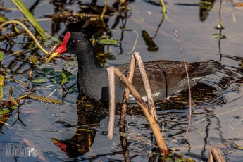 Orlando-Wetlands-Park-2023-2