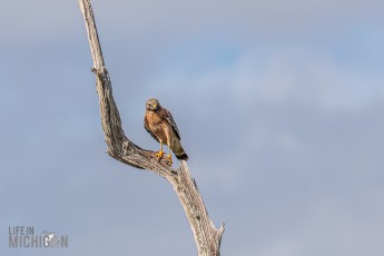 Orlando-Wetlands-Park-2023-30