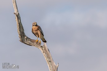 Orlando-Wetlands-Park-2023-31
