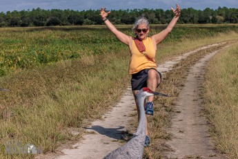 Orlando-Wetlands-Park-2023-34