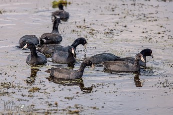 Orlando-Wetlands-Park-2023-7