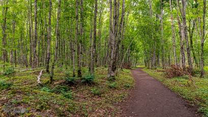 Pictured Rocks - Chapel Falls to Mosquito Falls hike